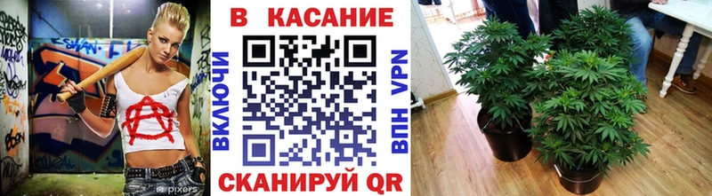 Купить Алдан Каннабис  Меф мяу мяу  Кетамин  Гашиш 