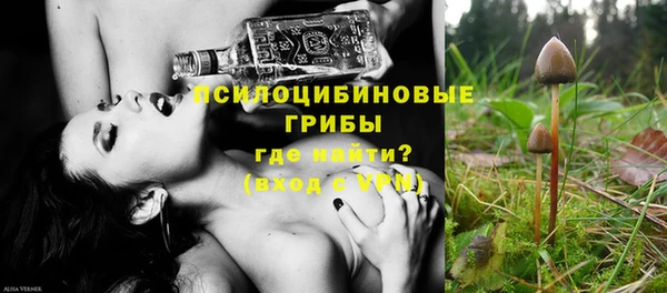 индика Навашино