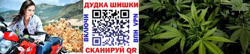 Бошки Шишки планчик  где купить наркотик  Алдан 